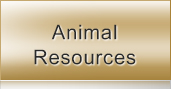 Animal Resources