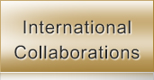 International Collaborations